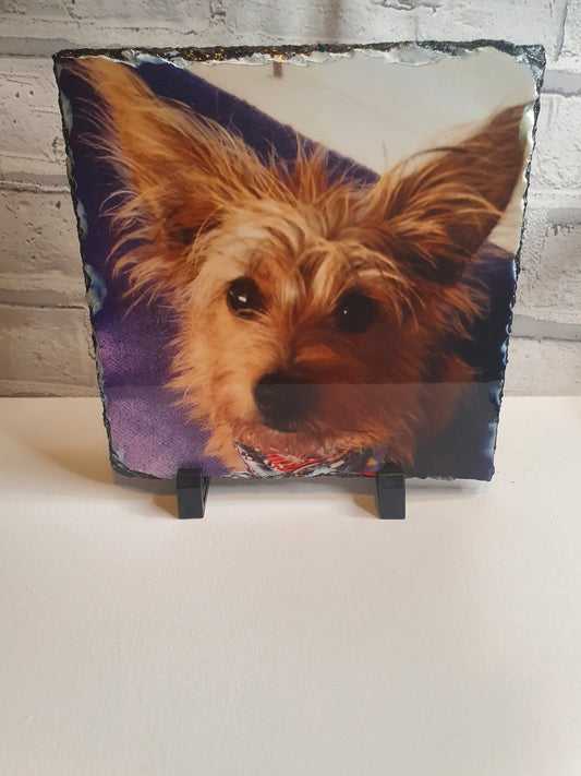 Photo Slate - Printed Treasures